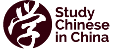 Study Chinese in China – Imagine How Fast You Could learn Chinese If We Tutored You Here In China