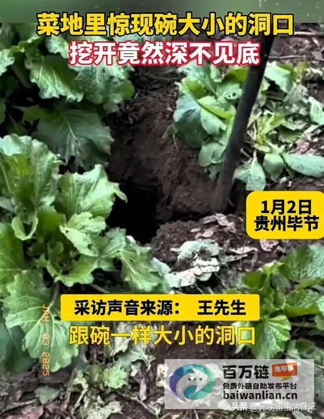 自家菜地惊现碗口大洞 神秘现象引发关注 深度不明 (自家菜地有虫怎么办)